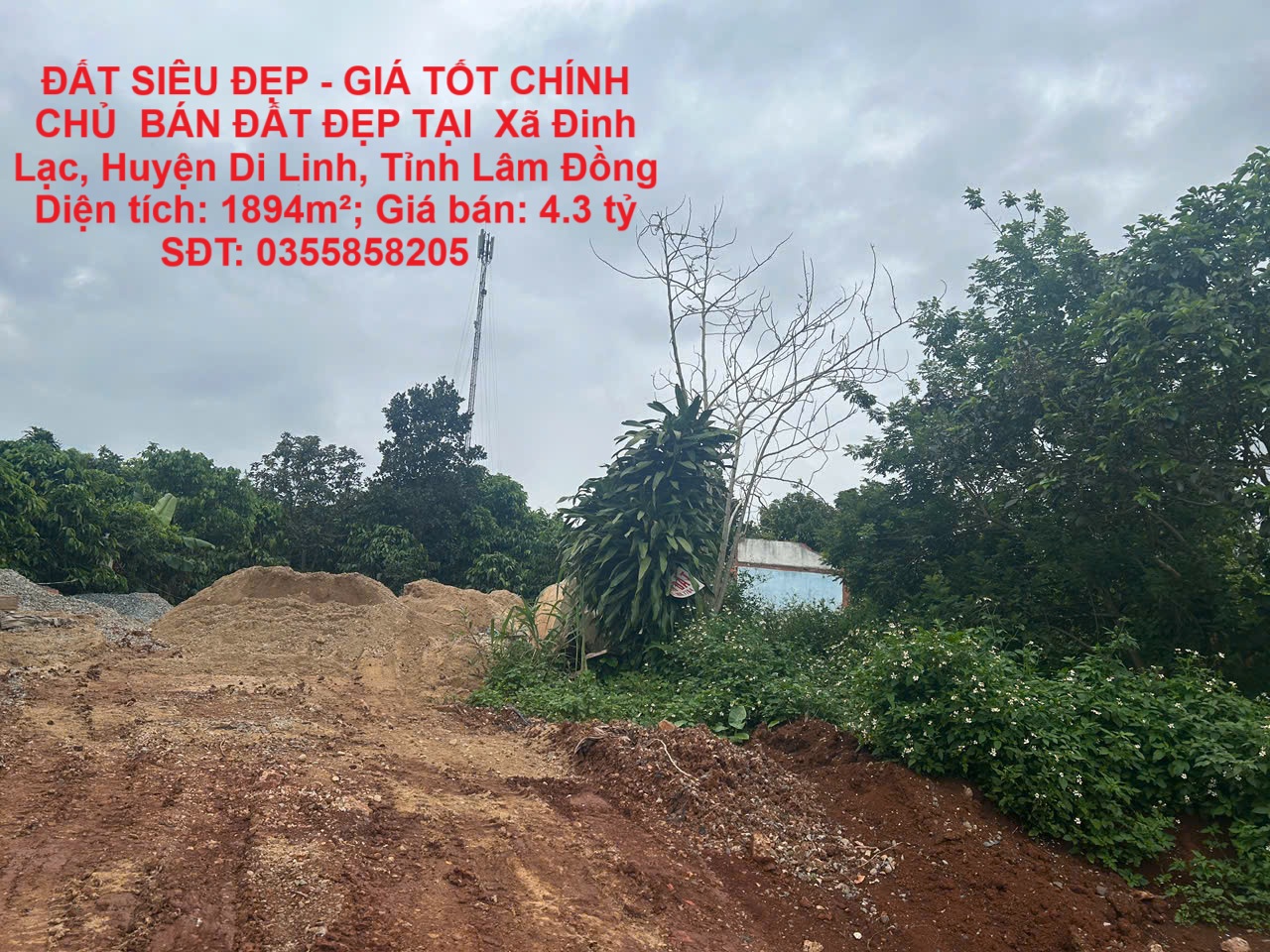 ĐẤT SIÊU ĐẸP - GIÁ TỐT CHÍNH CHỦ  BÁN ĐẤT ĐẸP TẠI  Xã Đinh Lạc, DI LINH – LÂM ĐỒNG - Ảnh chính